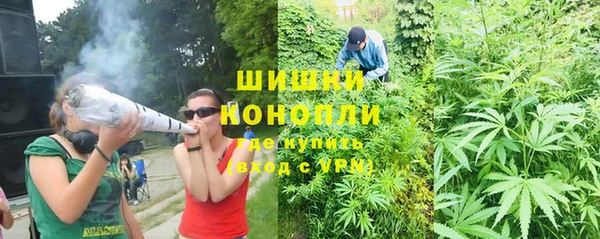 крисы Бугульма