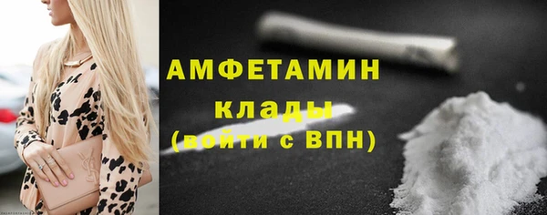 молекула духа Бородино