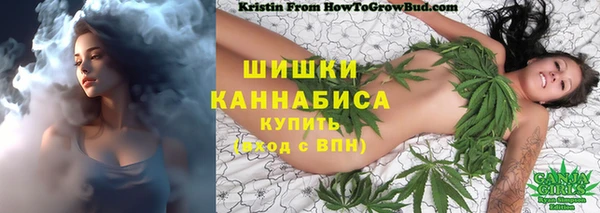 крисы Бугульма