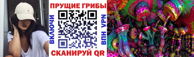 Псилоцибиновые грибы Magic Shrooms  купить   Луховицы 